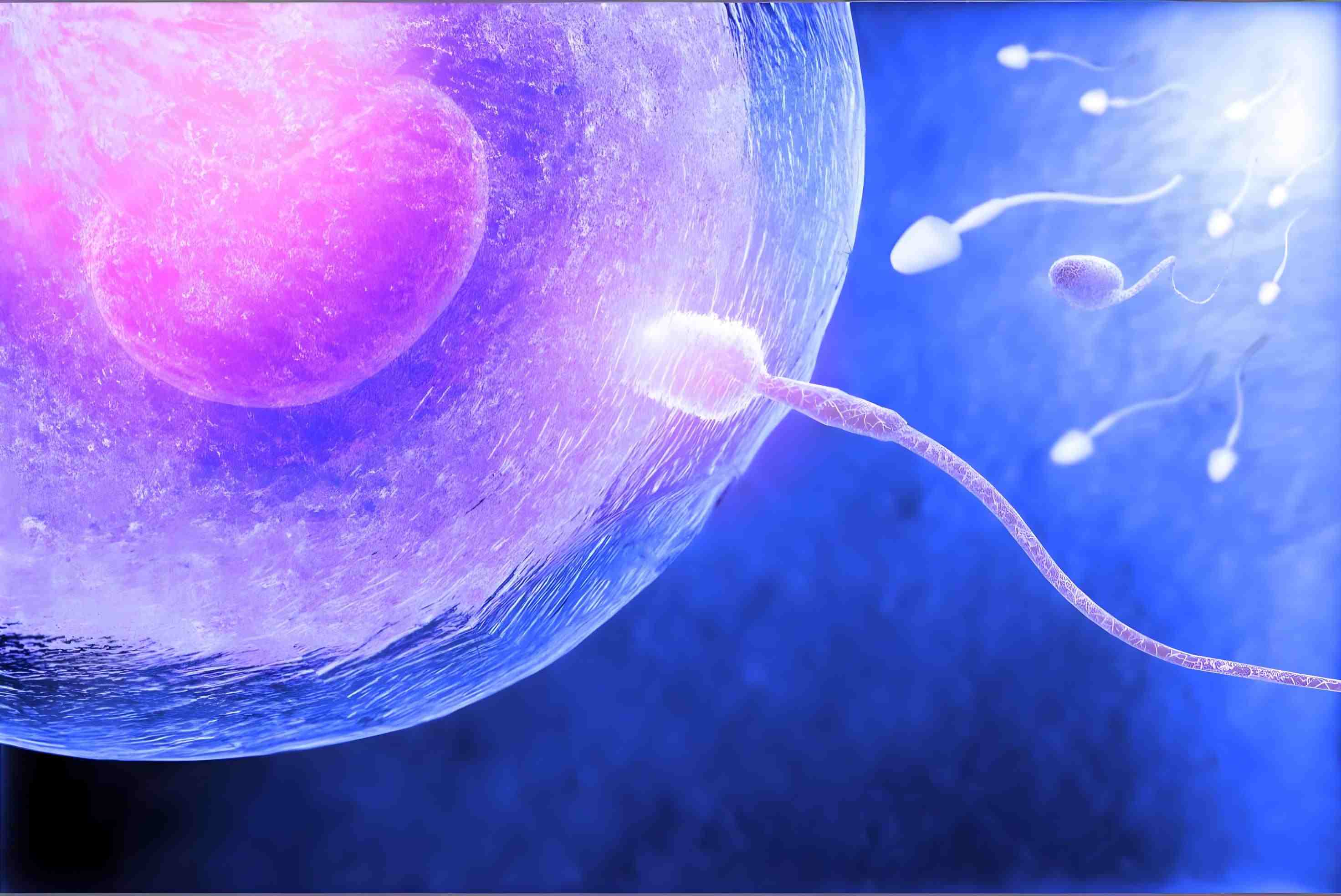 intracytoplasmic-sperm-injection-icsi-900x600.jpg