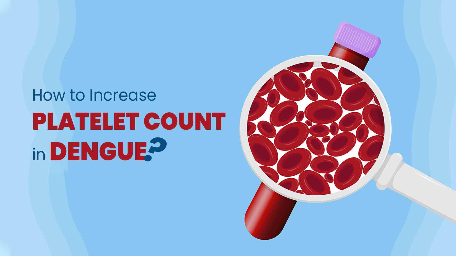 How to Increase Platelet Count in Dengue?